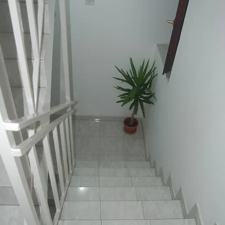 Stankovic Guest house *
